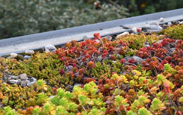 the cost of Halstock green roof installation