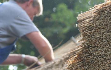 professional Halstock thatchers