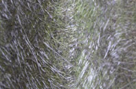 Halstock fibreglass roof work