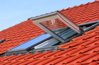 Halstock roof window